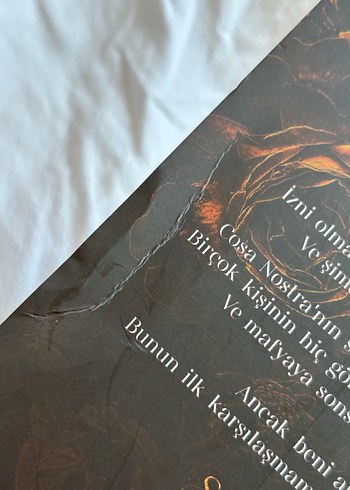 Çalıntı Dokunuşlar - Neva Altaj Kitap Roman