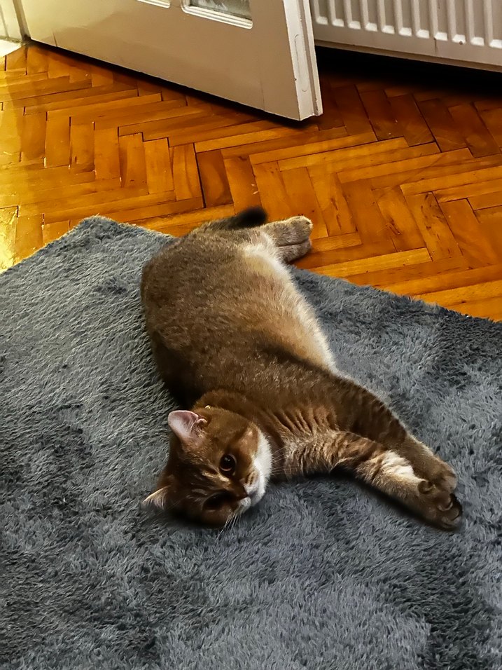 Antrasit peluş halı - Görsel 2