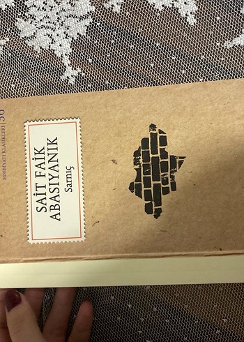 Sait Faik Abasıyanık - Sarnıç Romanı