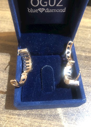 Mini Sıralı Taşlı Altın Küpe - Görsel 4