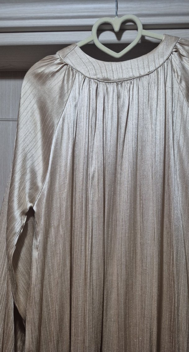 Bej Pileli Uzun saten Elbise - Görsel 2