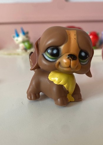 Köpek ve peri Miniş