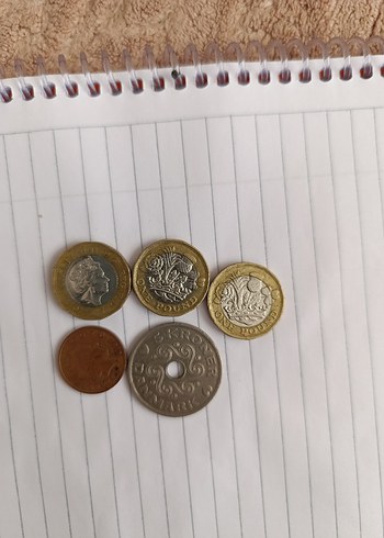 Vintage Erkek Rozeti Kahverengi