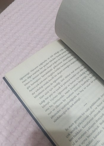 Beden Renk Martı Jonathan Livingston - Richard Bach