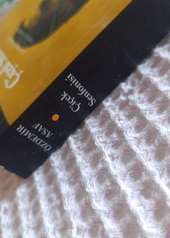 Özdemir Asaf - Çiçek Senfonisi Toplu Şiirler - Görsel 7