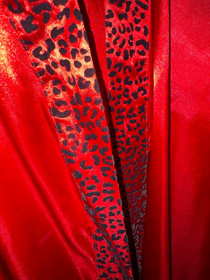 Kadın Kırmızı Parlak Yılan Desenli Sabahlık - Görsel 5