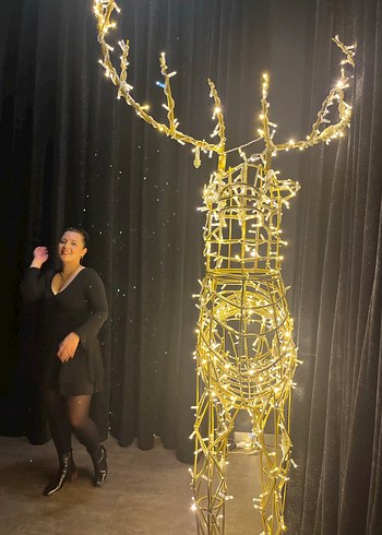 Siyah Uzun Kollu V Yaka Midi Elbise - Görsel 4