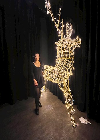 Siyah Uzun Kollu V Yaka Midi Elbise - Görsel 2