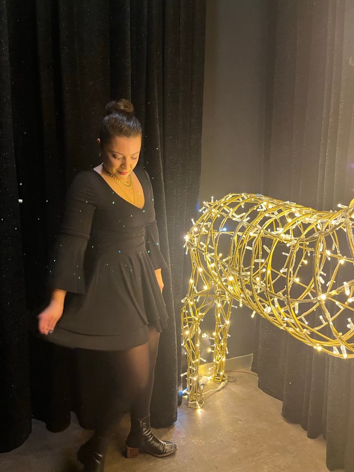 Siyah Uzun Kollu V Yaka Midi Elbise - Görsel 3