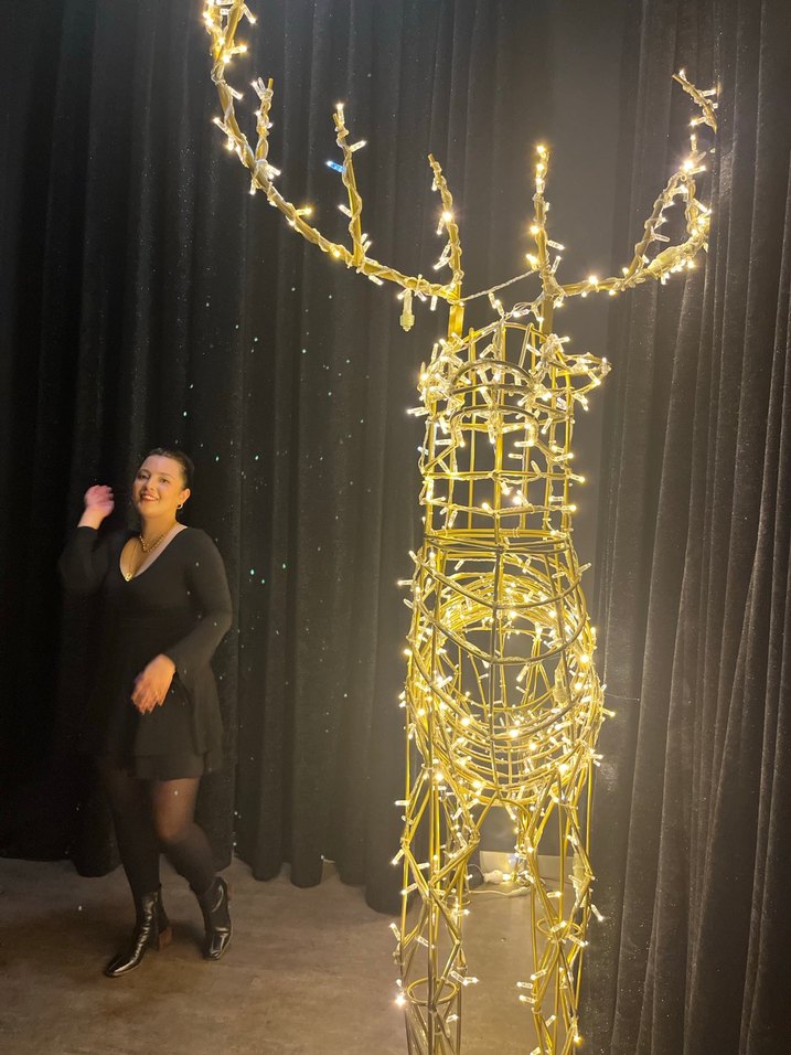 Siyah Uzun Kollu V Yaka Midi Elbise - Görsel 4