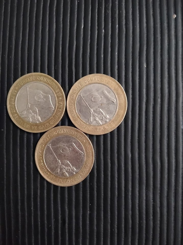 Koleksiyonluk Madeni Para - Görsel 2