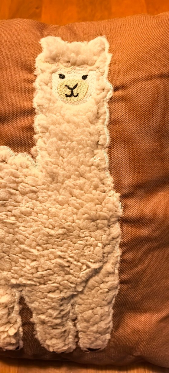 Nakışlı Bohem Tarzı Bej çocuk kırlent - Görsel 4