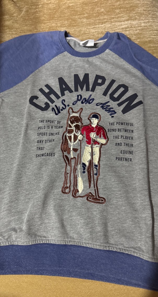 Gri Erkek Çocuk Polo Baskılı Sweatshirt - Görsel 2