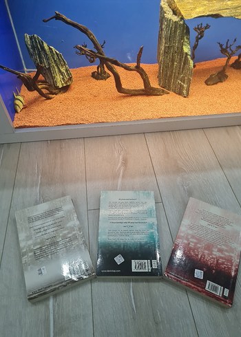 3 KİTAP KIERA CASS - Görsel 2