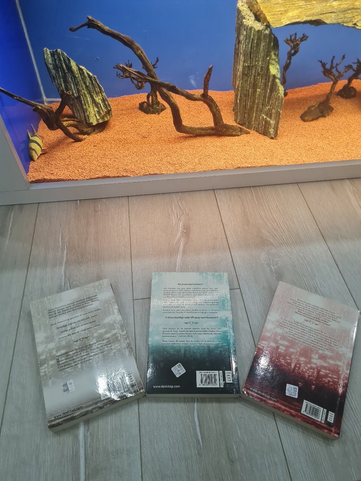 3 KİTAP KIERA CASS - Görsel 2