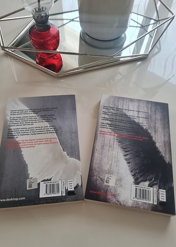 Meleğin Düşüşü ve Kıyamet Sonrası Roman Seti - Görsel 2