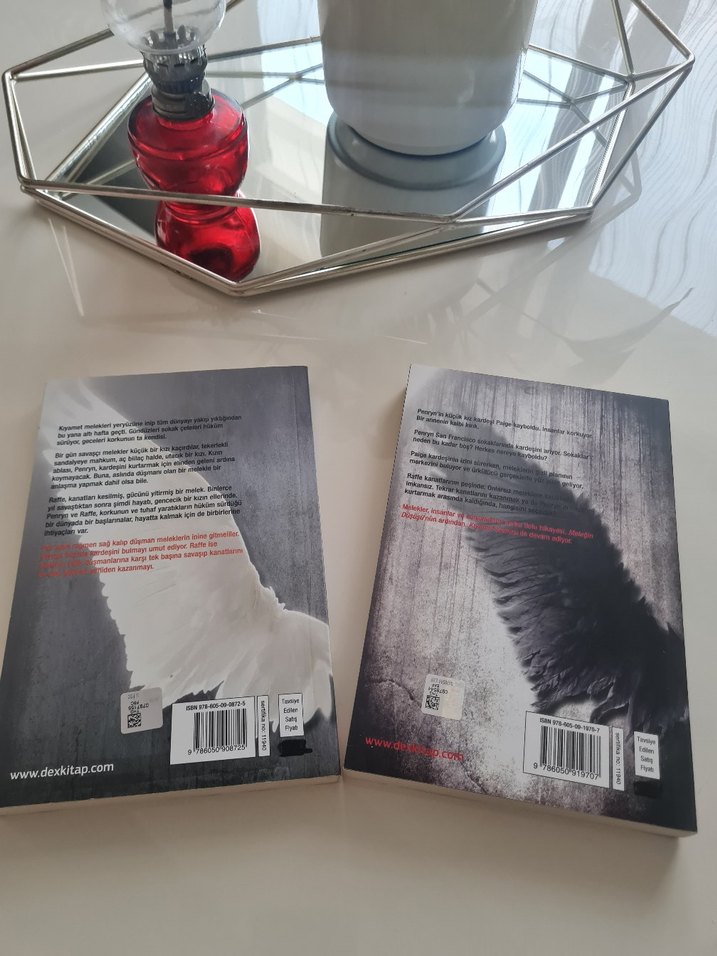 Meleğin Düşüşü ve Kıyamet Sonrası Roman Seti - Görsel 2