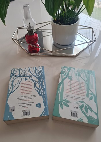 Maggie Stiefvater Romanları: Ürperti ve Beklenti - Görsel 2