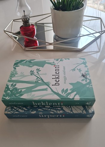 Maggie Stiefvater Romanları: Ürperti ve Beklenti - Görsel 3