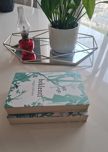 Maggie Stiefvater Romanları: Ürperti ve Beklenti - Görsel 4