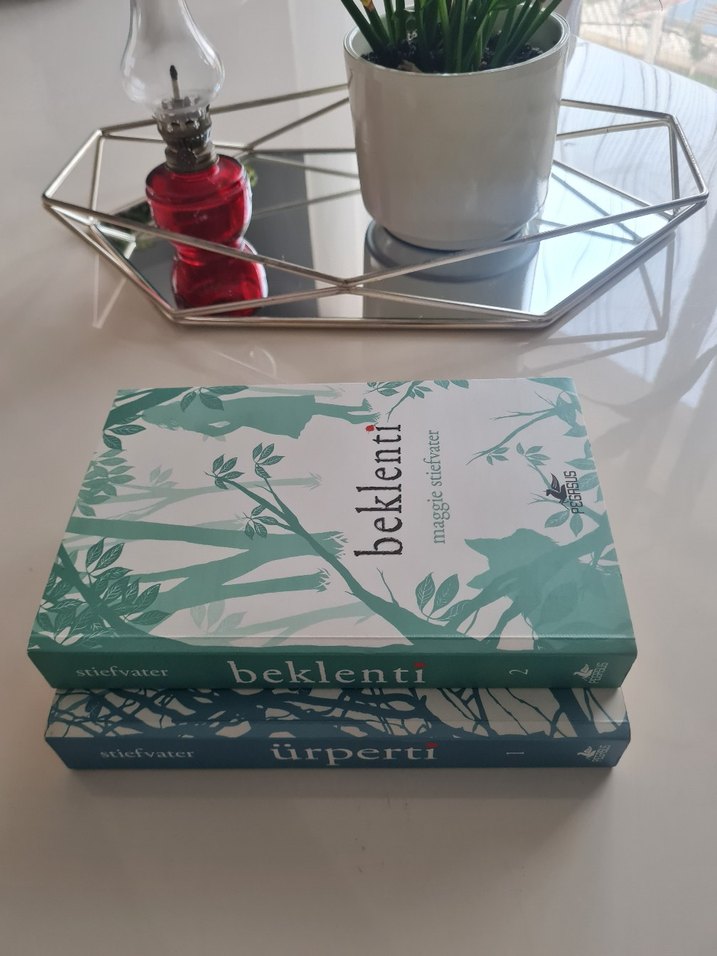 Maggie Stiefvater Romanları: Ürperti ve Beklenti - Görsel 3