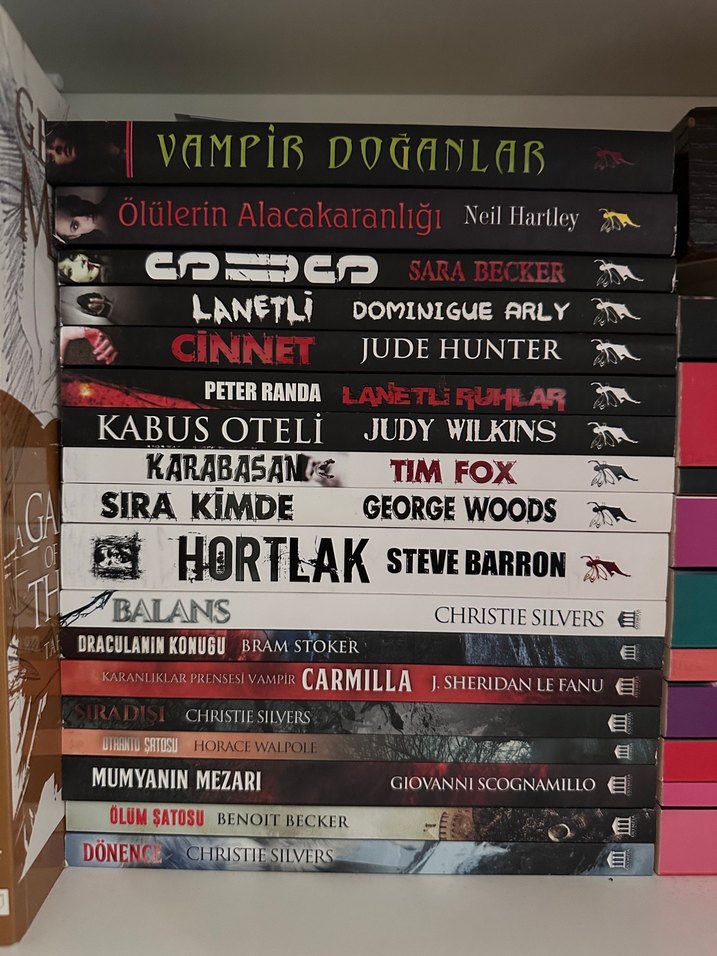 Korku ve Gerilim Romanları - Görsel 2