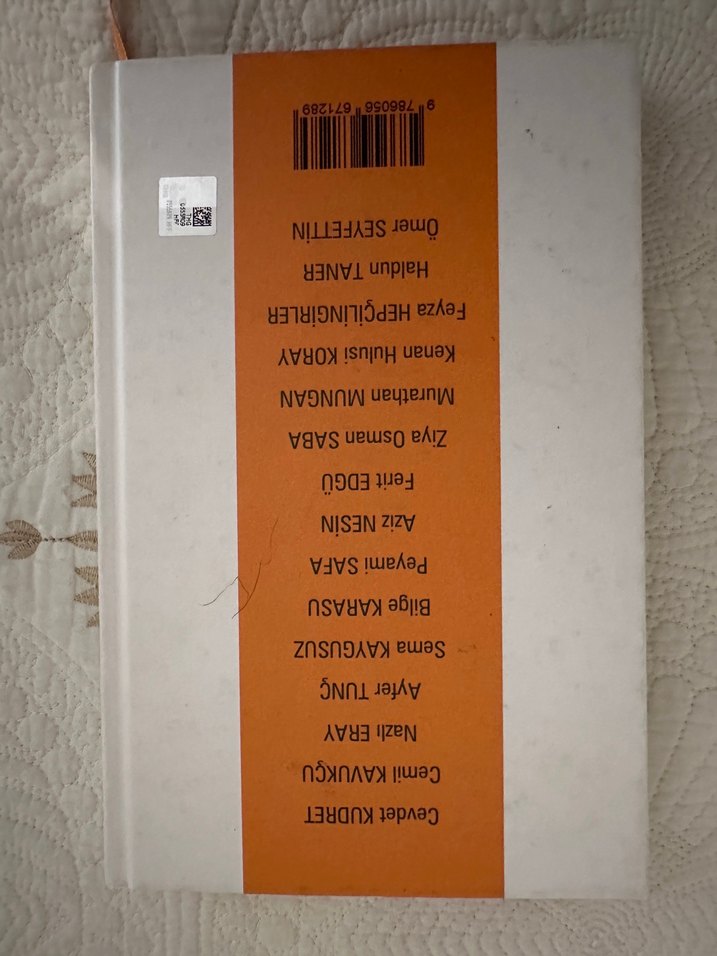 Afitapın Ardıçları - Türk Edebiyatından - Görsel 2