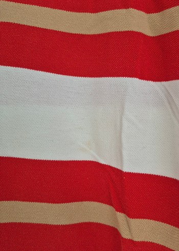 l Beden Kırmızı Çizgili Polo T-shirt