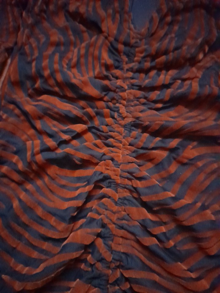 Zebra Desenli Pilili Kadın Uzun Kollu Elbise - Görsel 4