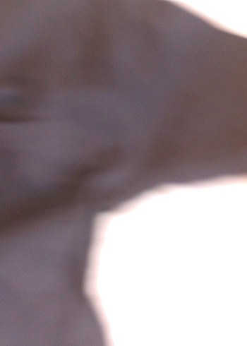 Nike Siyah Kısa Kollu Hamile Keten Tişört