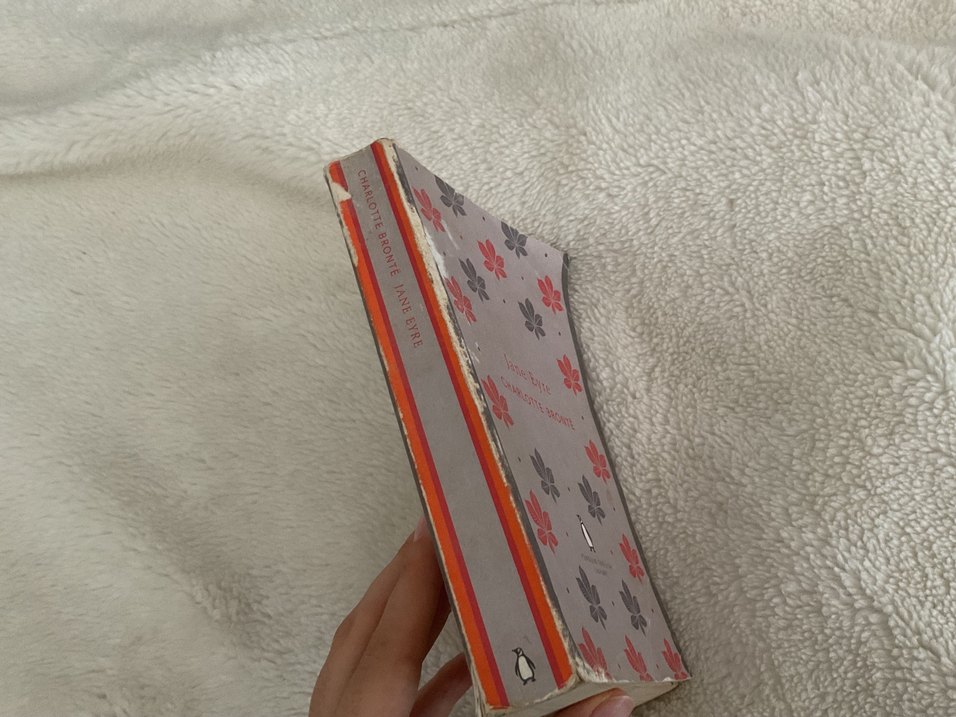 Jane Eyre - Charlotte Brontë Roman - Görsel 2