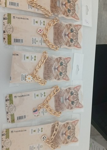 Pastel Altın Renk Kedi Tasması ve Uçları