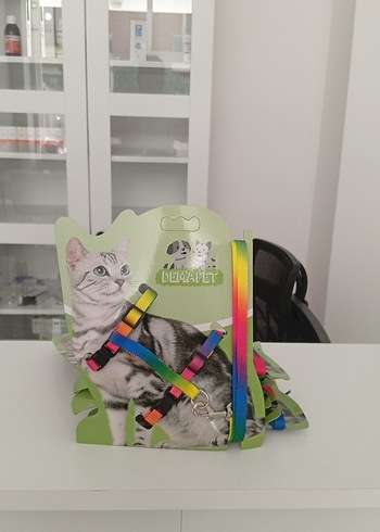 Renkli Kedi Göğüs Tasması ve gezdirme kayışı