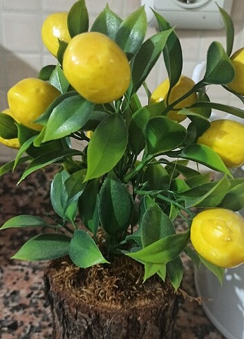 Diğer Limon ağacı yapay 