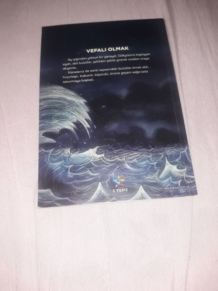 Denizin İki Yüzü - Şiir Kitabı - Görsel 3