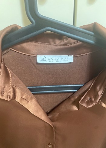 Kahverengi Kadın V Yakalı Saten Gömlek - Görsel 5