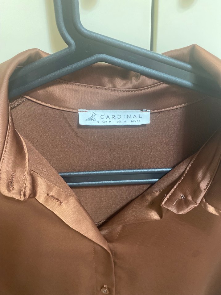 Kahverengi Kadın V Yakalı Saten Gömlek - Görsel 5