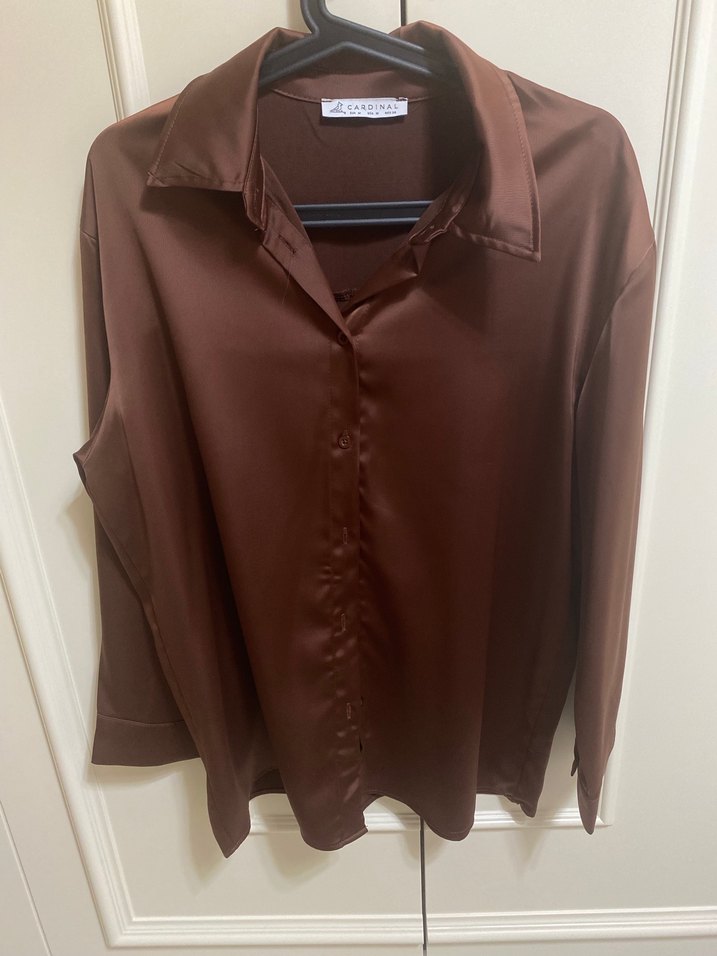 Kahverengi Kadın V Yakalı Saten Gömlek - Görsel 3