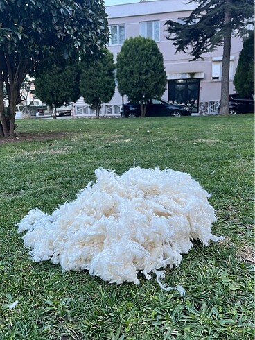 Merinos Avustralya Merinos yün kilo fiyatıdır.