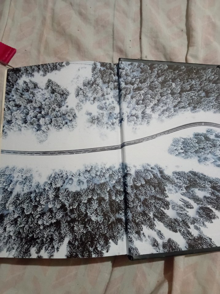 içinde bir sen engerek 1. cilt - Görsel 4