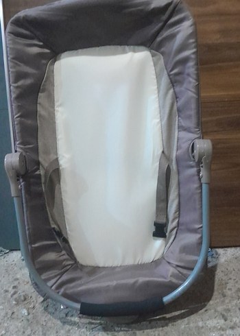 Gri Bebek Yatağı