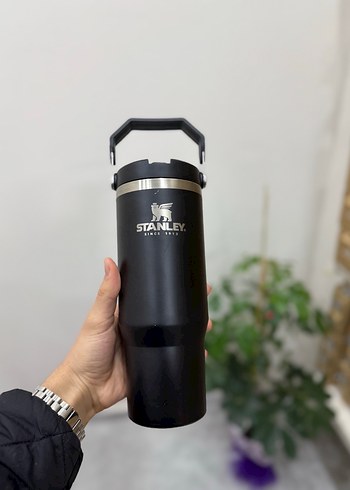 Stanley Parlak Haki Çocuk Termos Şişesi - Görsel 6