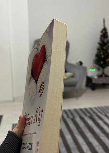 İkinci Kış - Yurdal Işık - Görsel 2