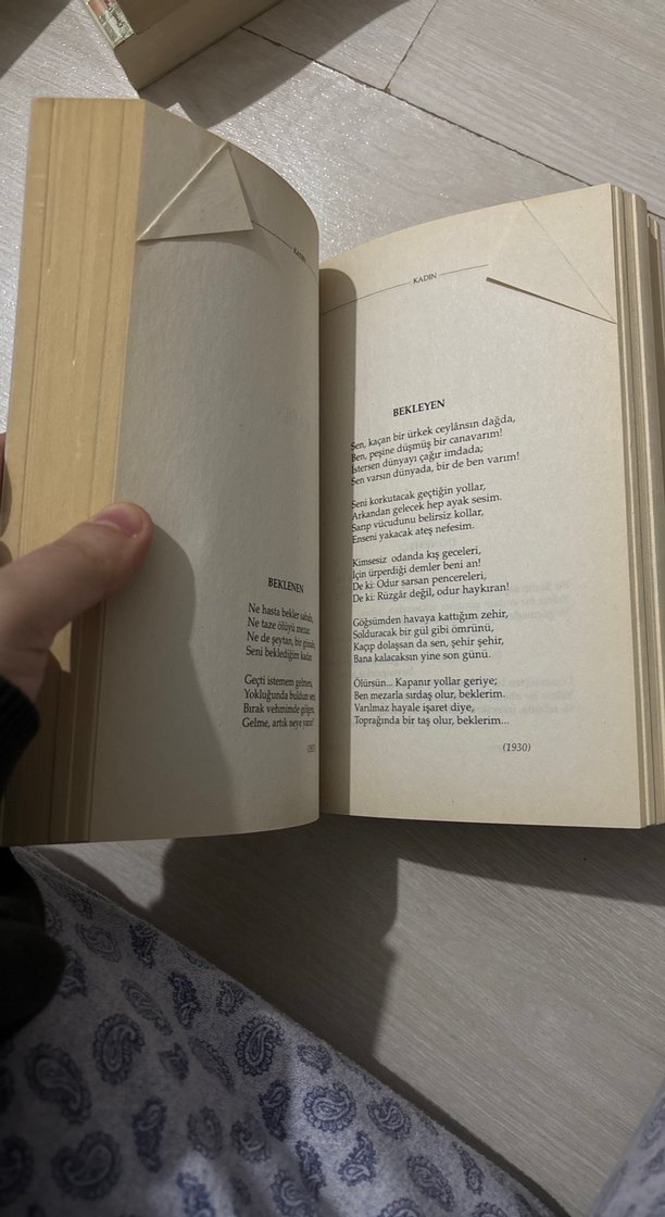 Çile - Necip Fazıl Biyografi Kitabı - Görsel 2