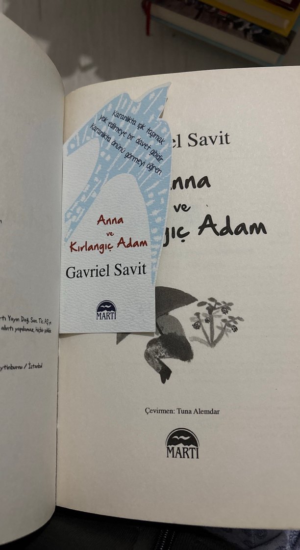 Anna ve Kırlangıç Adam - Gavriel Savit - Görsel 3
