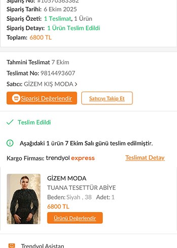 Henna Gelinlik Siyah Nakışlı Uzun Kollu Gotik Abiye Elbise