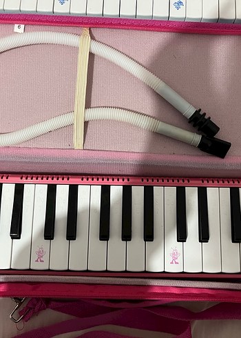 Melodika - Görsel 5