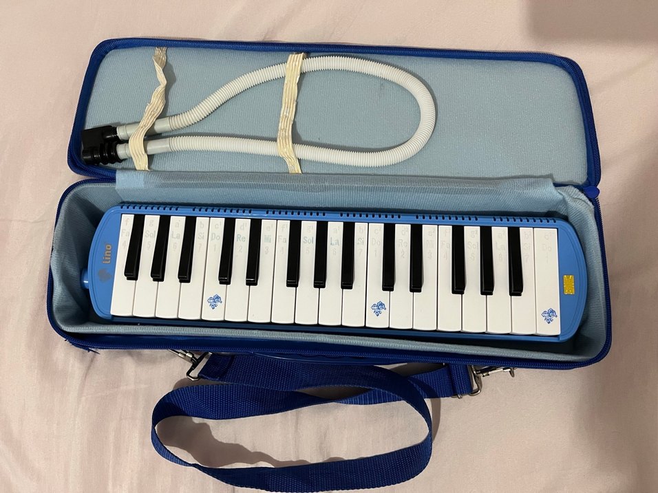 Melodika - Görsel 3