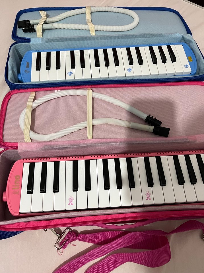 Melodika - Görsel 2