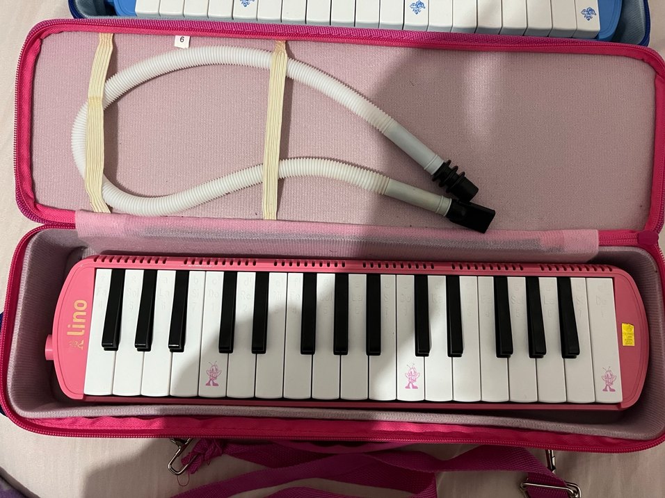 Melodika - Görsel 5